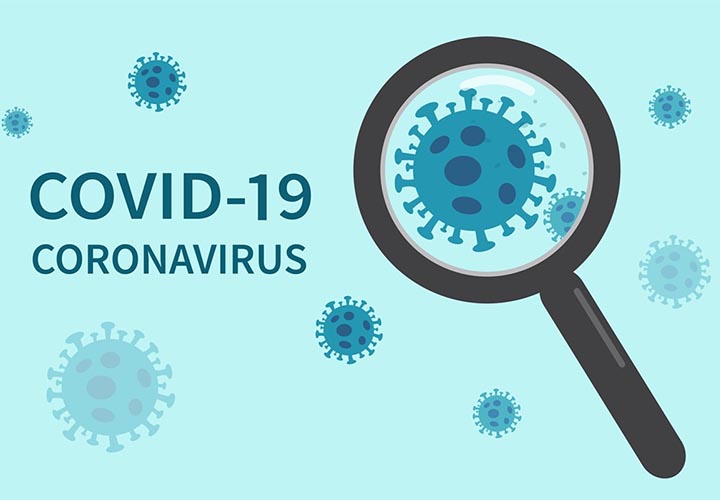 Sistema Inmune y covronavirus